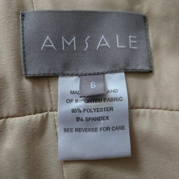 Amsale Nude Beige Spaghetti Strap Maxi Evening Gown - Picture 13 of 14